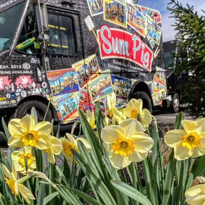 The Sum Pig food truck behind spring daffodils